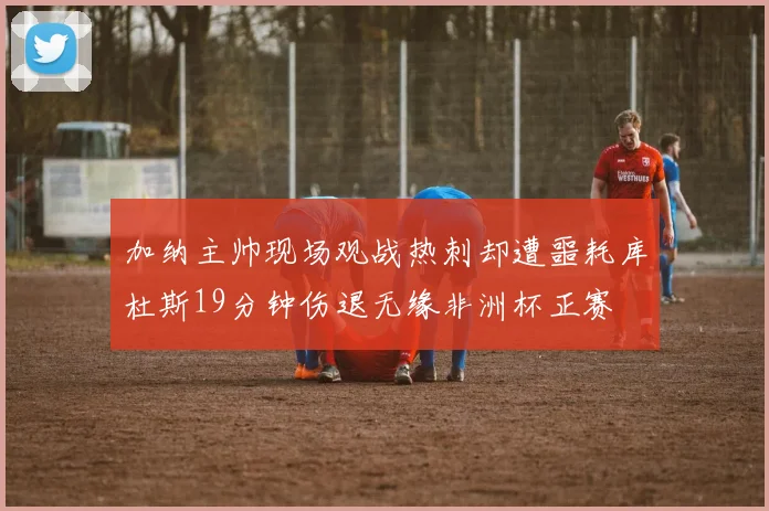 加纳主帅现场观战热刺却遭噩耗库杜斯19分钟伤退无缘非洲杯正赛